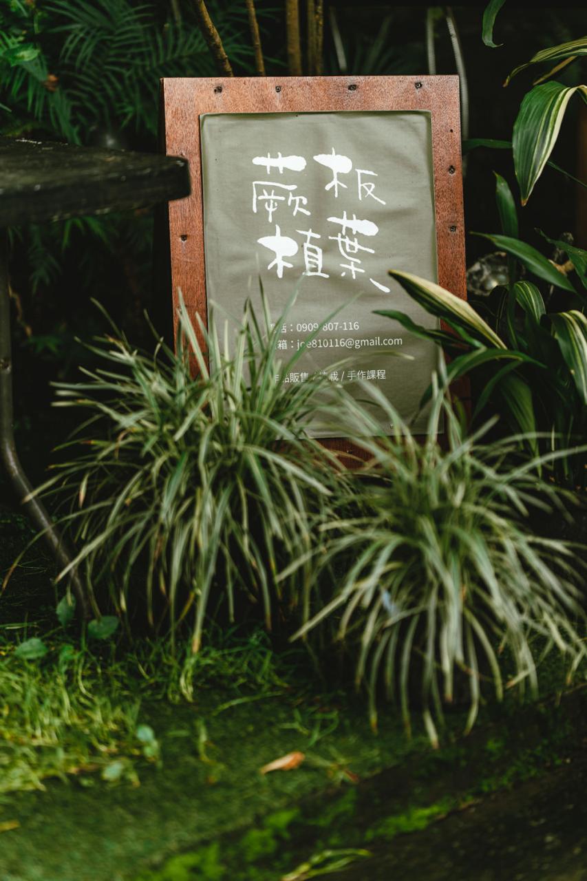 森林里的后花园! 自然绿色的咖啡馆设计