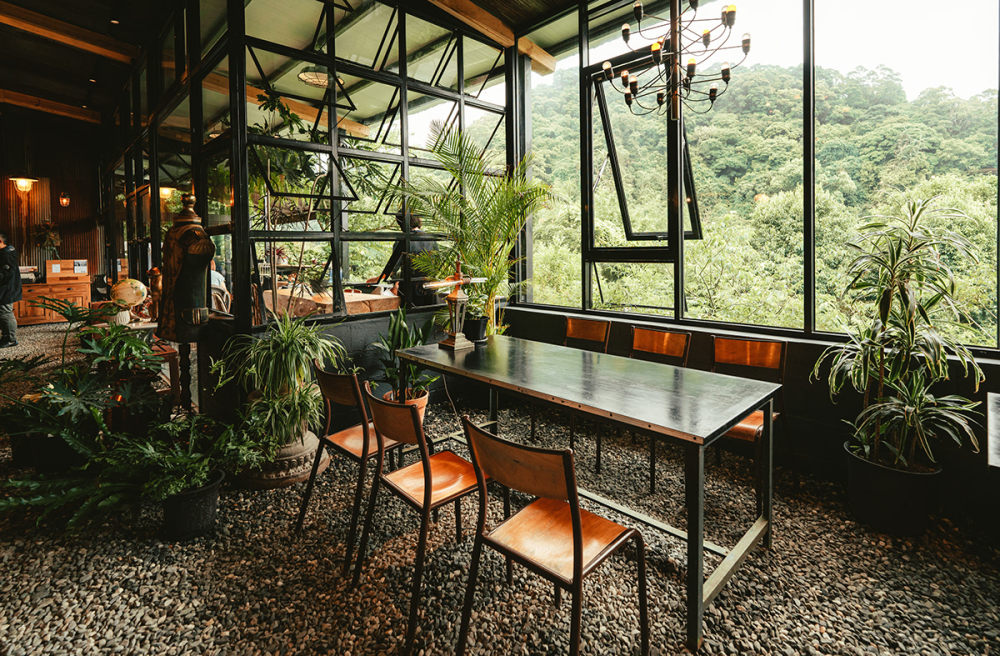 森林里的后花园! 自然绿色的咖啡馆设计