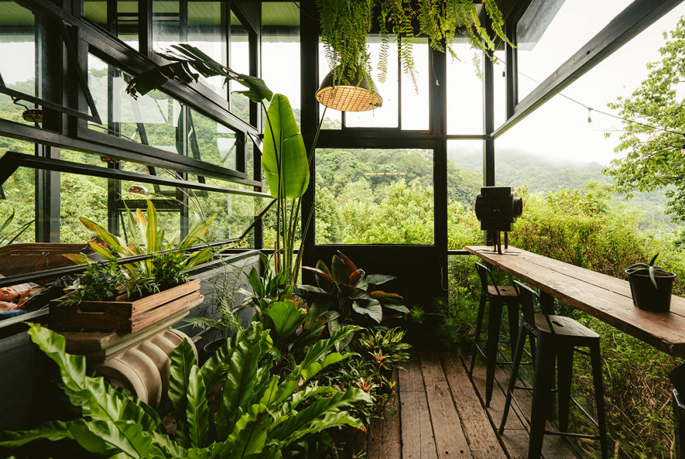 森林里的后花园! 自然绿色的咖啡馆设计