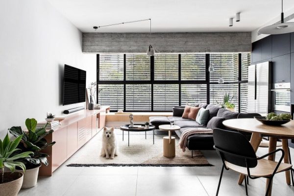 简约黑白，自然光肆意流动，翻新以色列现代公寓