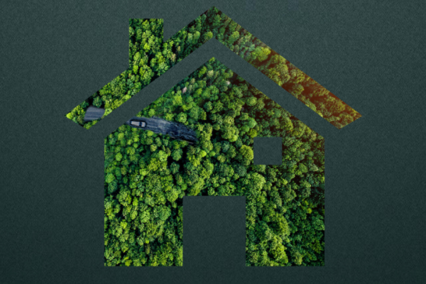 巨迪全屋定制等头部品牌2023力推“新概念家装”